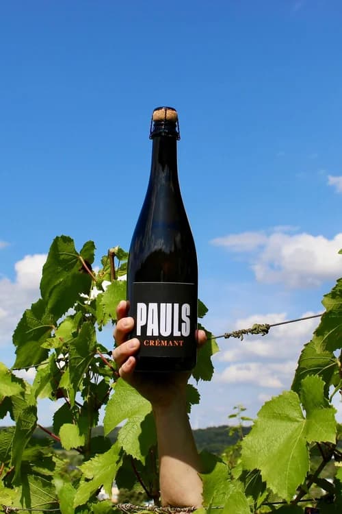 PAULS Crémant Brut